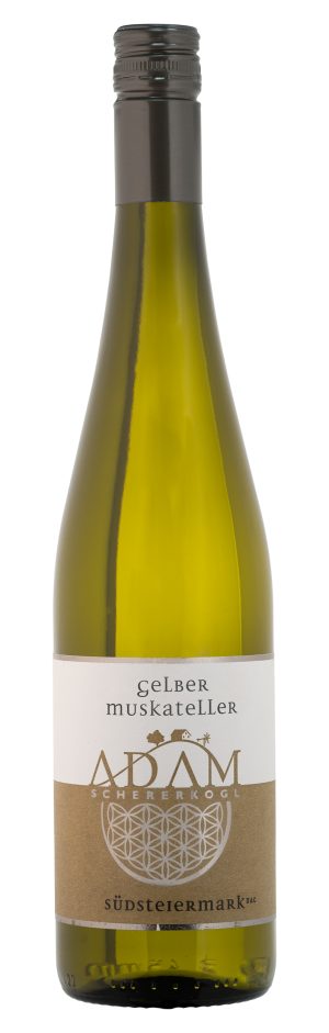 Gelber Muskateller Südsteiermark DAC